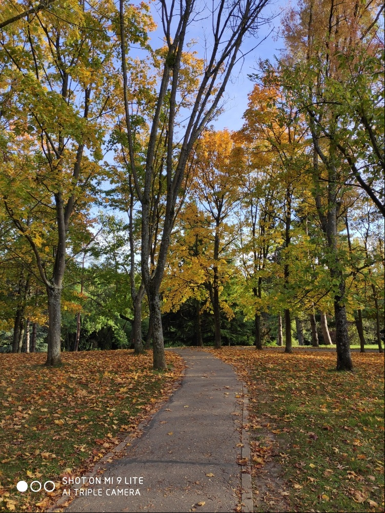 Photo parc par Xiaomi Mi 9 Lite